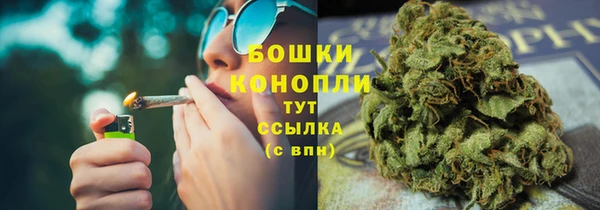 прущие грибы Балахна