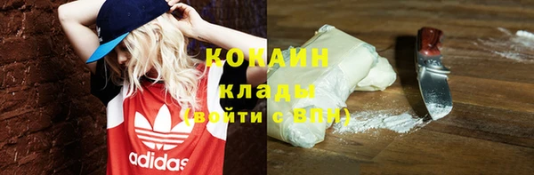 прущие грибы Балахна